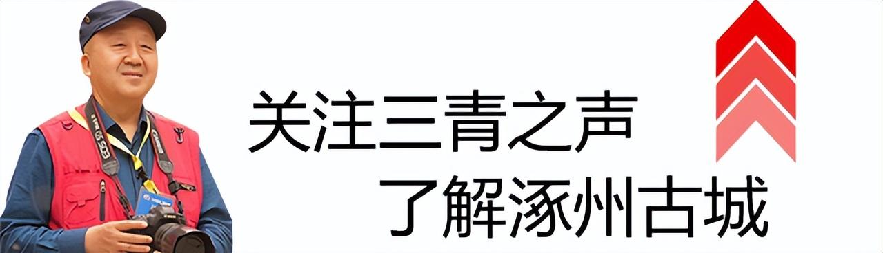 涿州房价动态，梦想与未来的交汇点