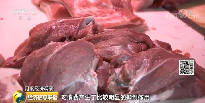 河南毛猪最新收购行情概览与指南