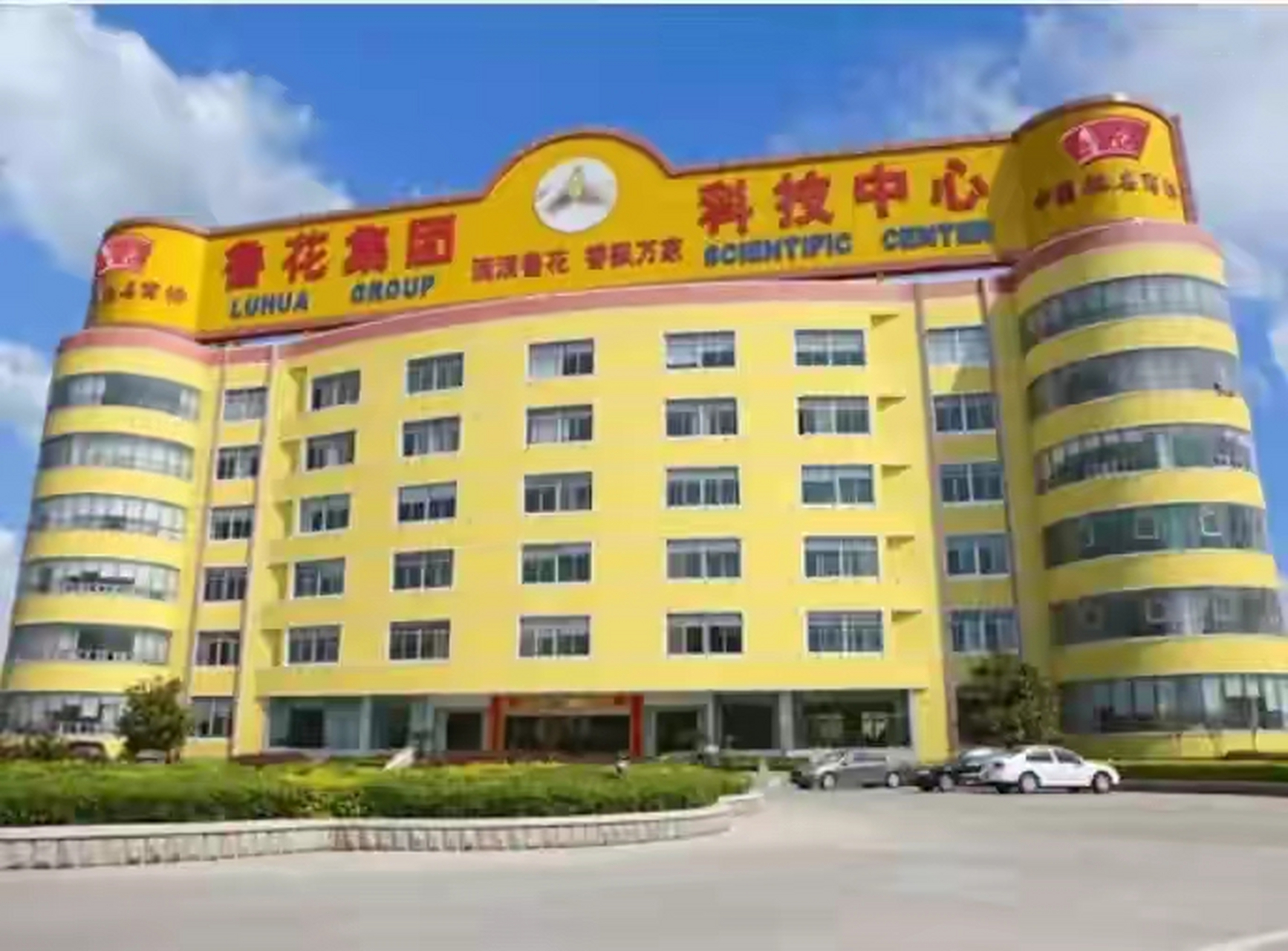 鲁花集团未上市之谜，深度解析与理解