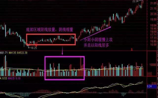 揭秘小巷深处的宝藏，探寻股票行情下的特色小店——聚焦000668股票行情分析