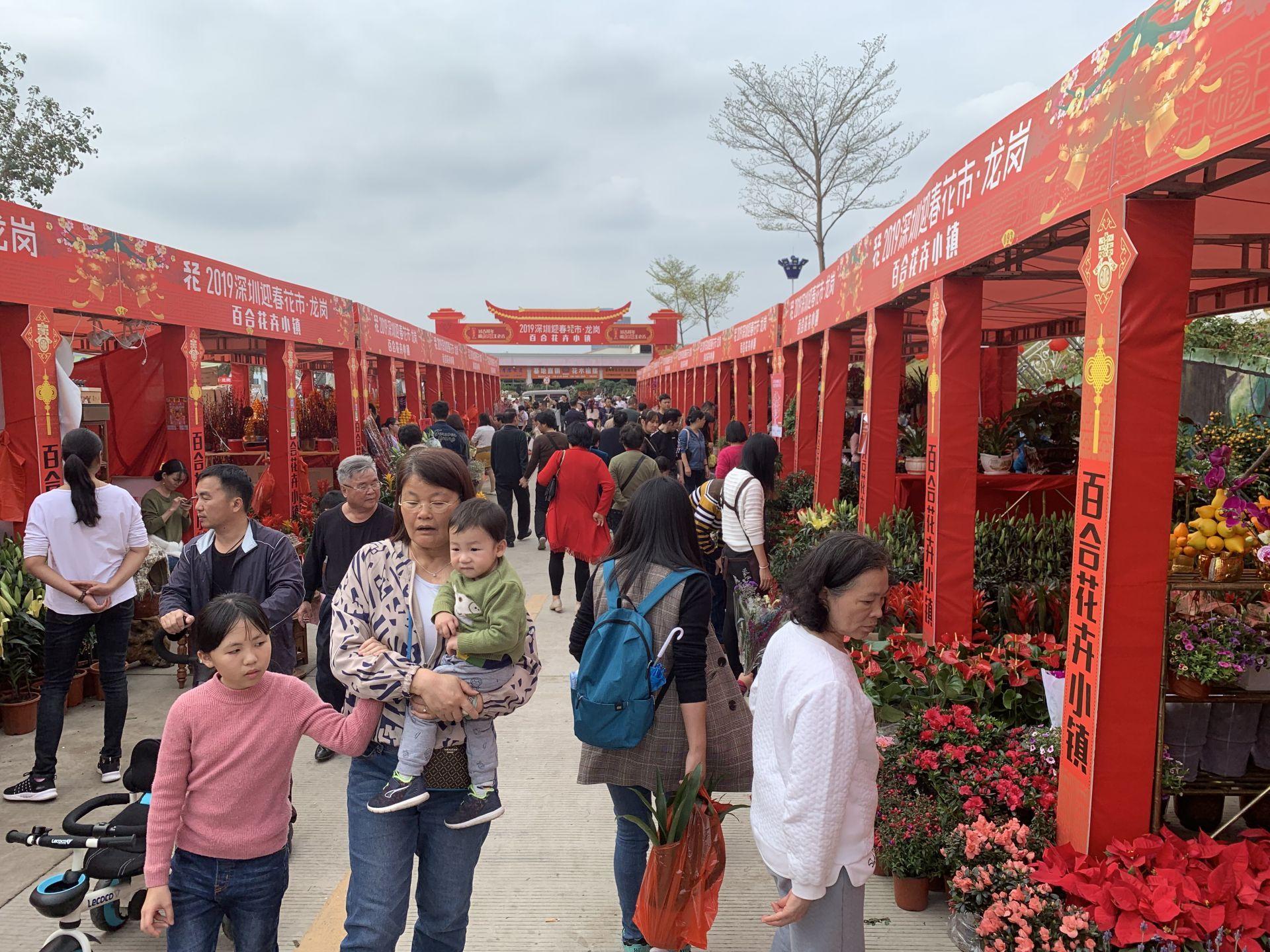 东北小山竹新视频，领略独特风情！