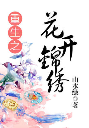 锦年重生之路，探寻最新章节与解析
