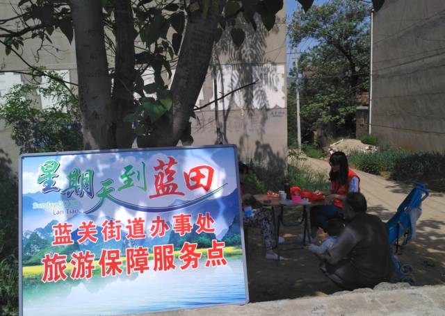 安丘最新驾驶员招聘启事，共赴自然美景的驾驶之旅