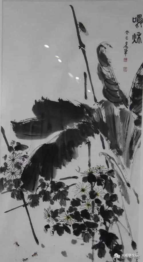 央视主持人朱军最新动态揭秘，追踪学习名人动态的技能指南