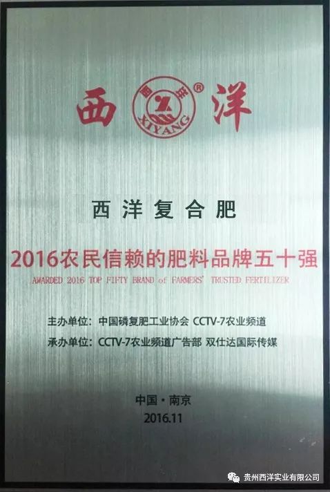 宝塔实业最新公告，变化催化成长，自信成就未来
