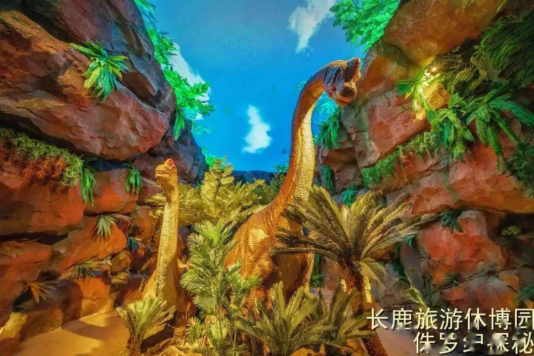 六龙飞天的演员们，自然美景之旅与内心平静的探寻