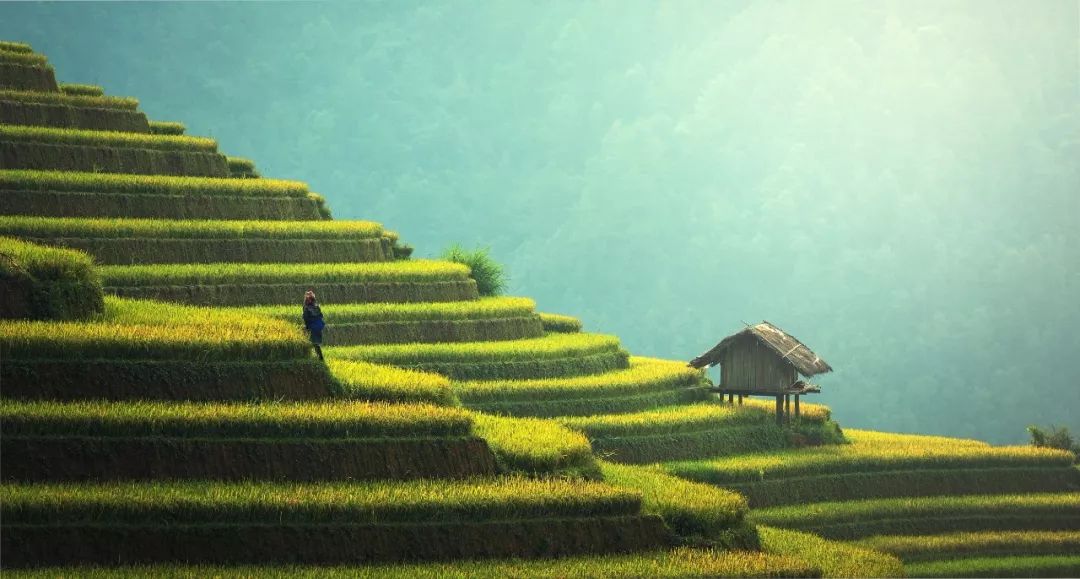 最新时事趋势，变化带来的自信与成就感展现
