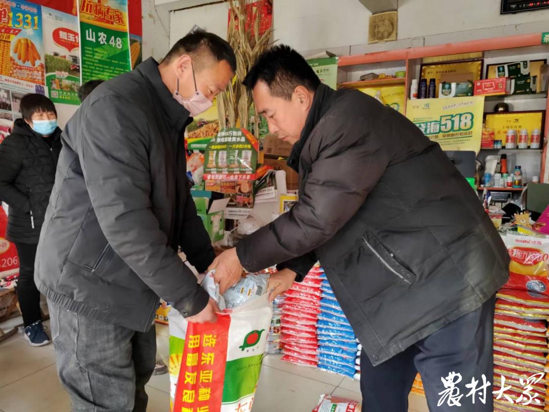 商河玉米价格最新动态，最新行情报告揭秘！