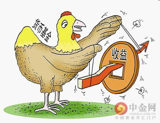 股票与股票基金的区别详解，入门指南及核心差异解析