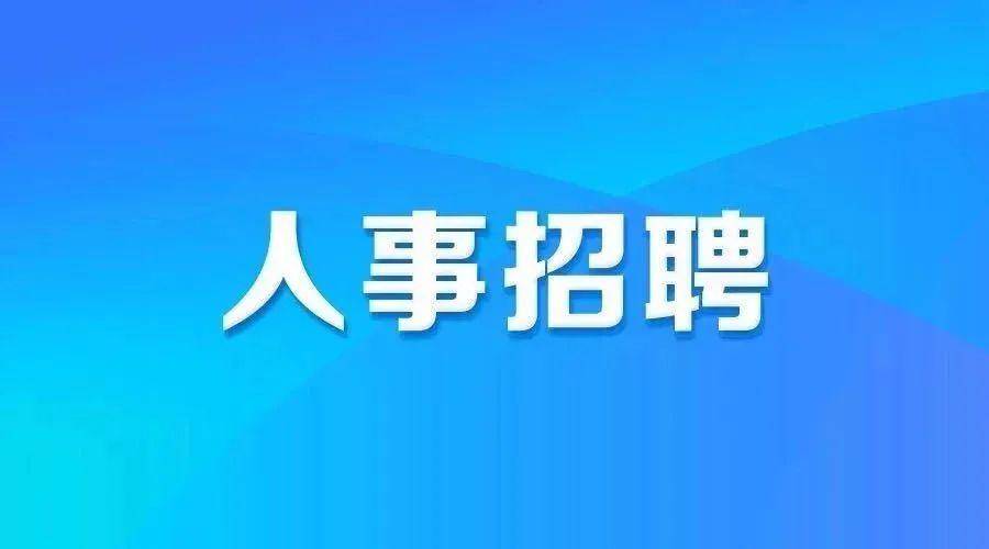 沙井宏辉厂最新职位招聘启事及招聘信息概览
