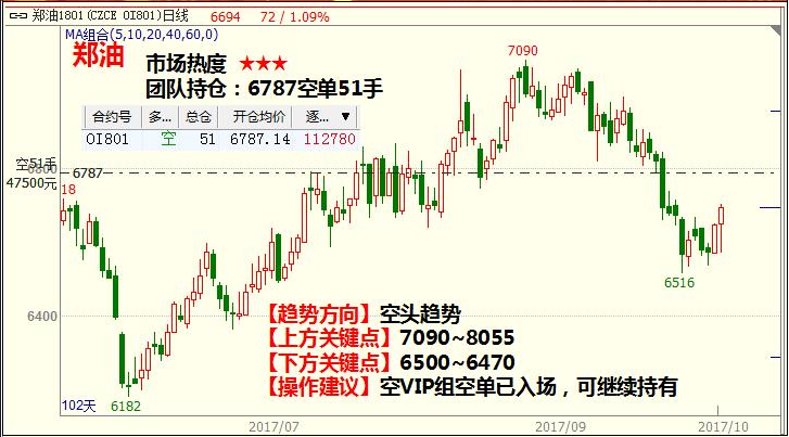 短纤期货资讯详解，市场走势、交易策略与案例分析