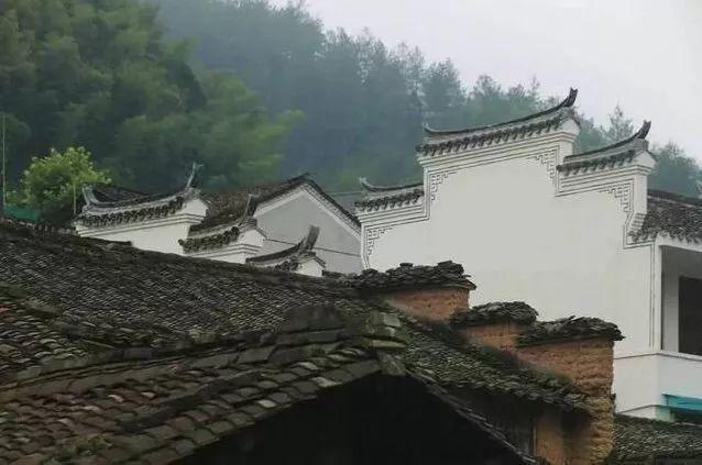丽水摄影大赛，捕捉瞬间之美，展现摄影艺术魅力