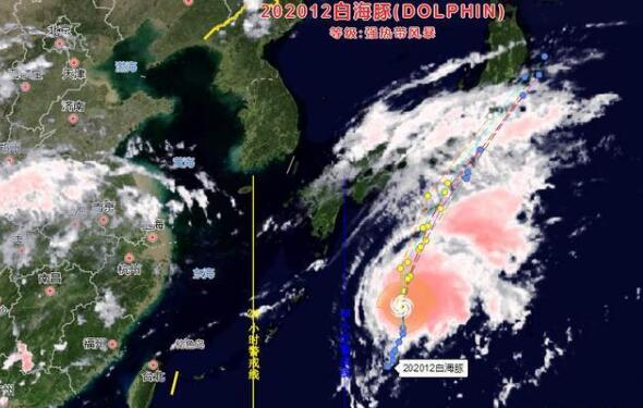台风来袭之际的温馨日常与友情力量，台风12号最新消息