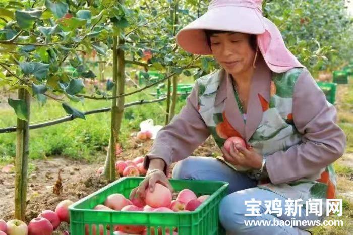 宝钛集团最新动态及其行业影响，一种观点解析