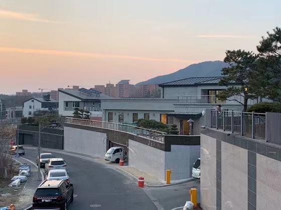 朴槿惠最新消息揭秘，小巷中的意外发现之旅