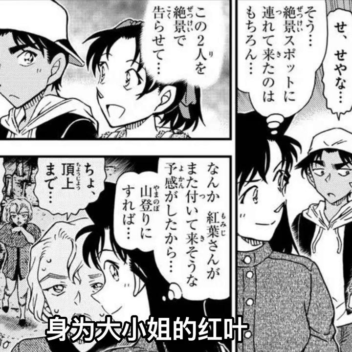 最新农村房屋设计图，与自然美景的邂逅，追求内心平和宁静的居所