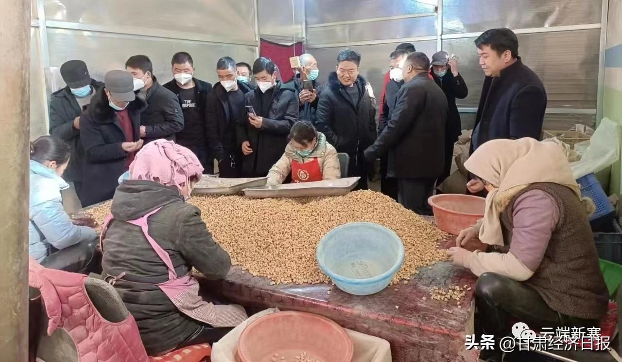 渭源党参最新价格，探寻自然美景，寻找心灵宁静之旅