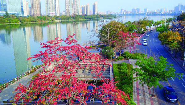 探索惠州驾驶新机遇，最新司机招聘信息汇总