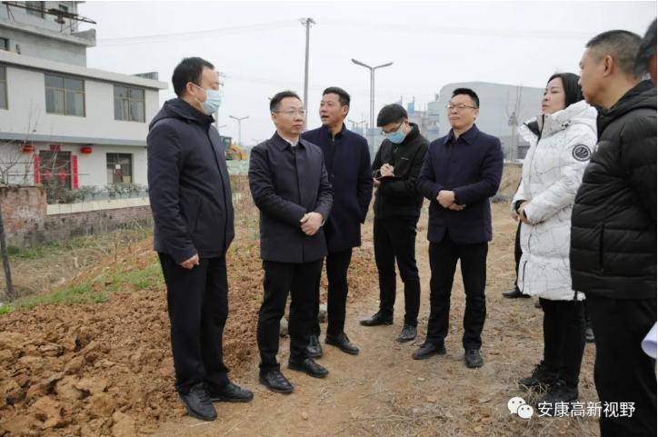 恒大高新最新动态，科技革新引领未来生活体验重塑