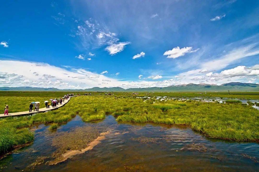 最新造型图片，自然美景的心灵之旅展示