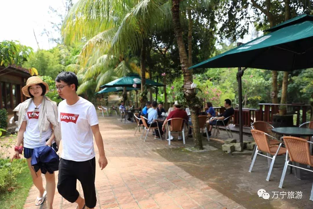 万宁最新房价探索，海南热带滨海城市的房地产市场的最新动态