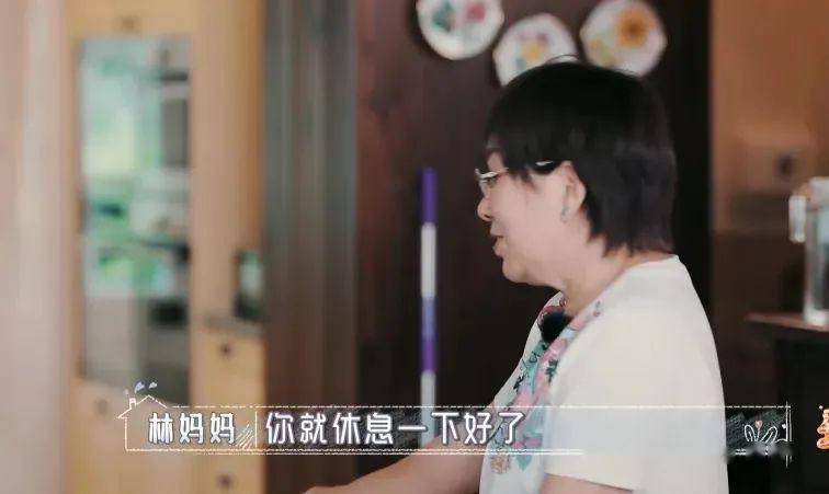 科技之翼下的爱情之旅，全新智能伴侣产品介绍与先婚后爱的最新章节