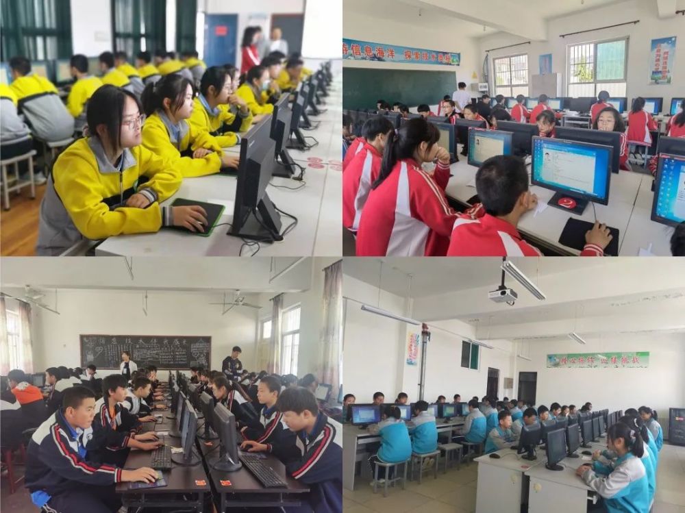 金字火腿最新动态，变化中的学习之旅铸就自信与成就之源