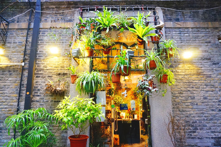 Moto最新探索，小巷深处的独特风情展示