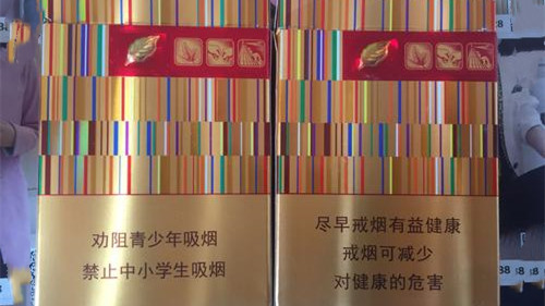 最新黄金叶，学习变革的魔力与自信绽放的闪耀风采