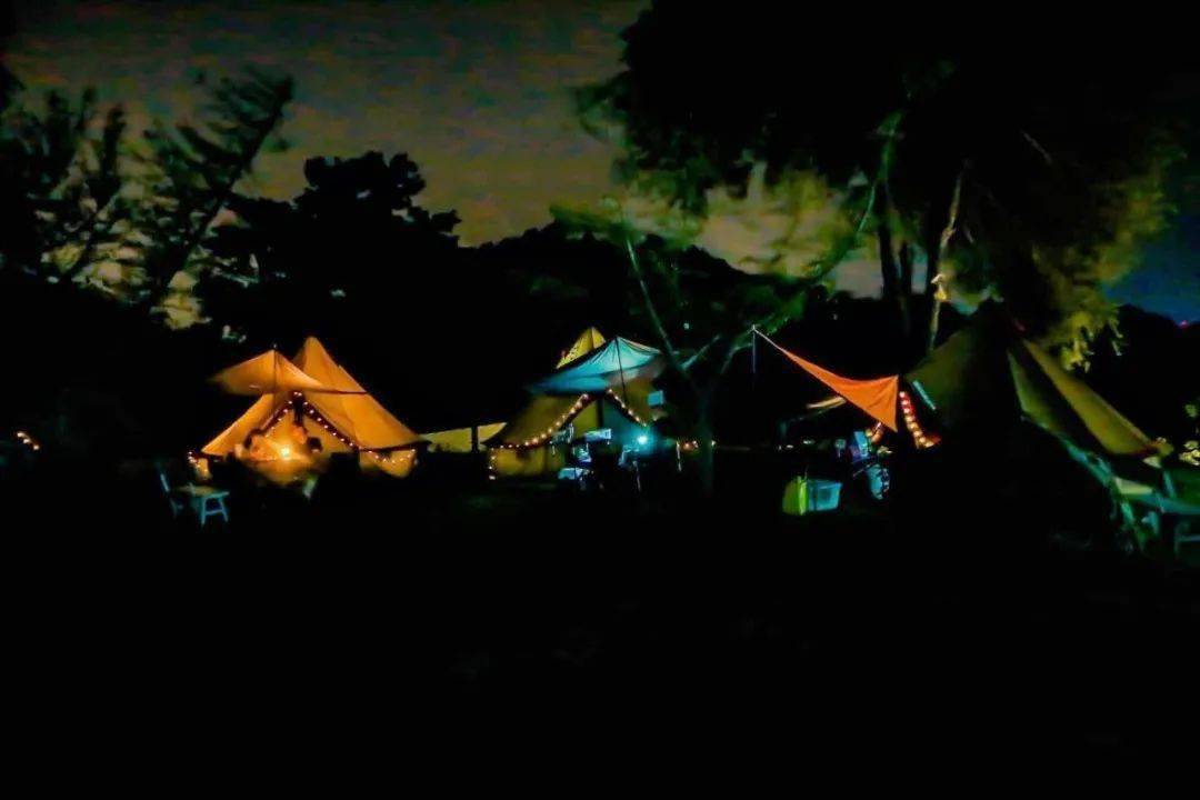 催眠护符最新，自然美景的治愈之旅探索之旅