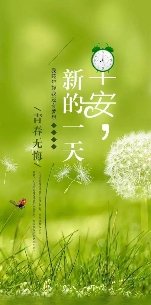 最新温馨早安心语，与自然美景共舞，探寻内心平和的浪漫之旅