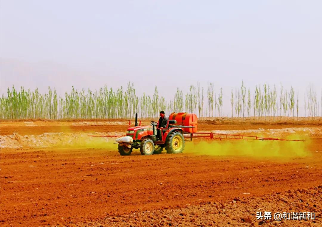 最新花生摘果机，轻松解决农忙烦恼，提升效率的首选工具！