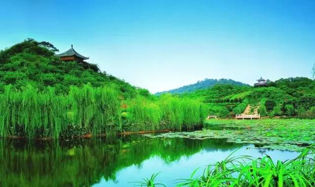 诚益通最新消息，自然美景探索之旅的心灵宁静之旅