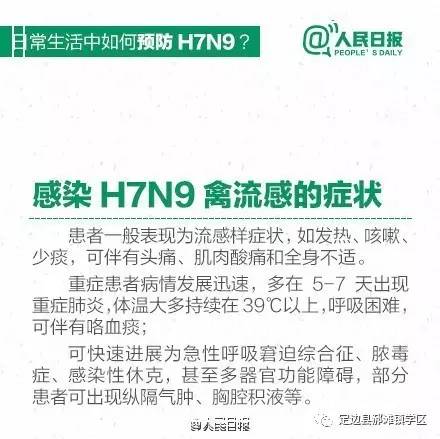 禽流感H7N9最新消息融入温馨日常故事，疫情动态与人文关怀的交织篇章