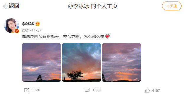 李冰冰最新动态揭秘，演艺之路的多面魅力大放异彩