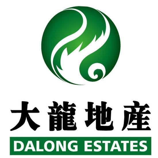 大龙地产最新动态，日常故事中的温馨与进展