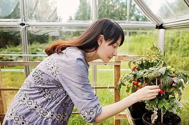 最新母乳番号，自然美景的心灵之旅