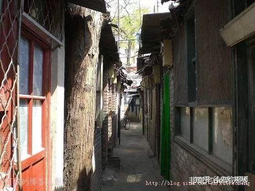 东城最新招聘揭秘，小巷特色小店之旅，隐藏宝藏等你来探