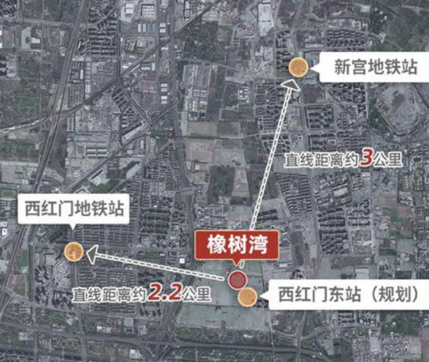 轨道19号线最新进展，全线动态、影响及各方观点深度解析