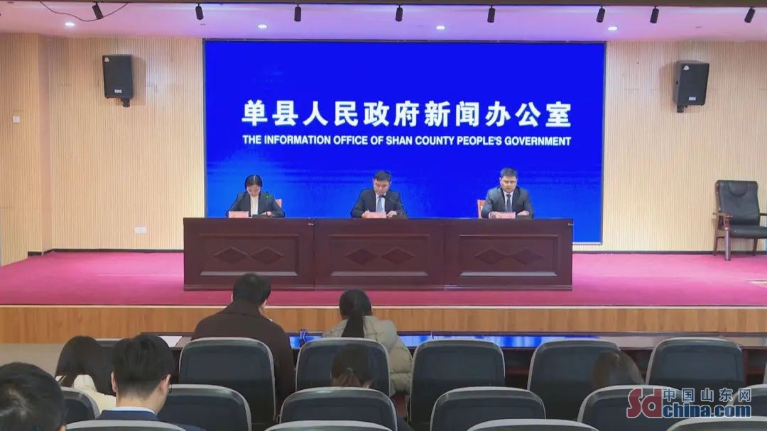 山东单县新闻最新动态✨