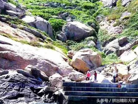 探索自然美景与内心平静之旅