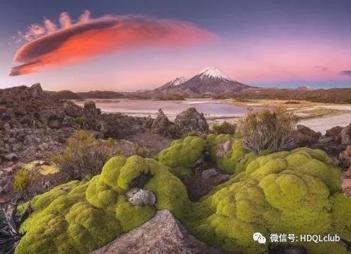 最新杀菌剂，探寻自然美景，寻找内心平和与宁静的探险之旅