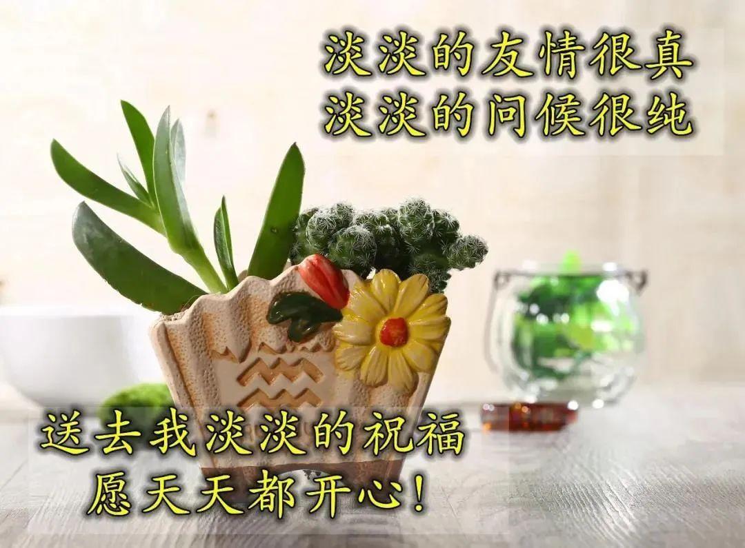 最新版铃声，唤醒梦想的旋律