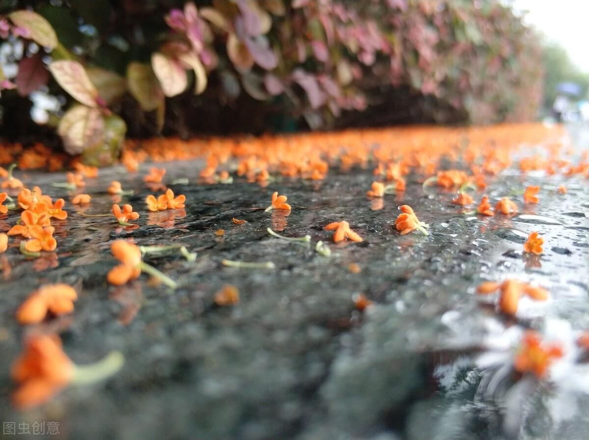 山东汇搜网络技 第4页