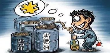 奇门世家最新日常趣事与情感纽带揭秘！