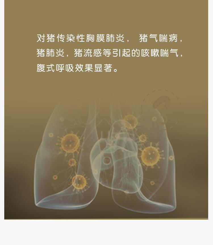 肥肺炎最新科普解读及防治要点全解析