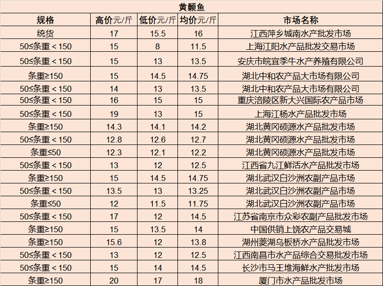 文雪最新观点探讨盛会