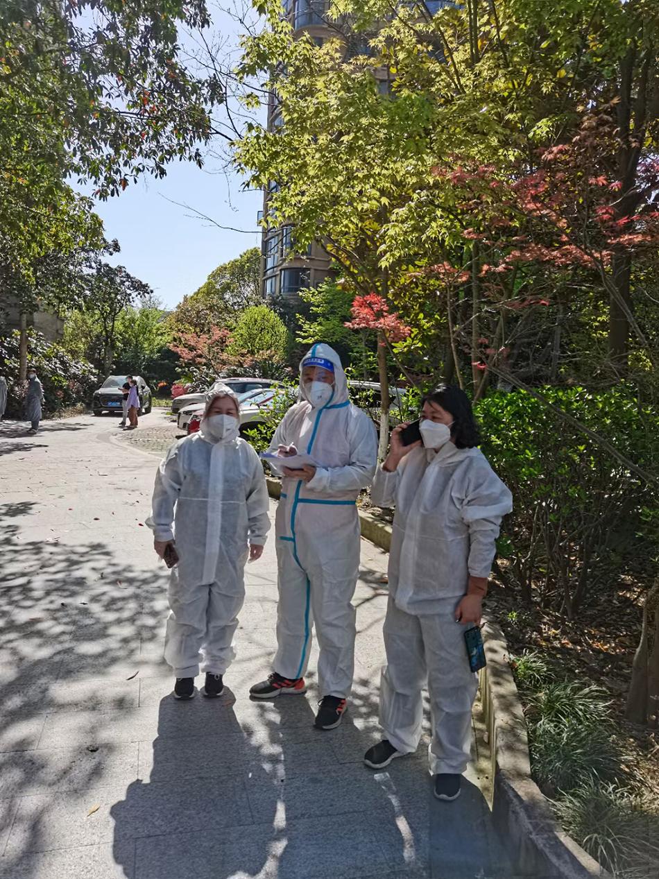 最新心冠疫情动态与小巷深处的独特风情揭秘