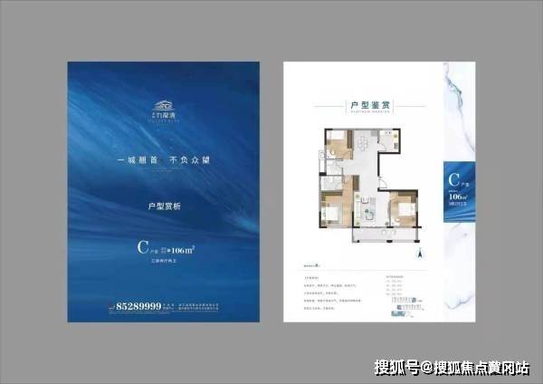 梅奥传奇，崛起与影响的新篇章