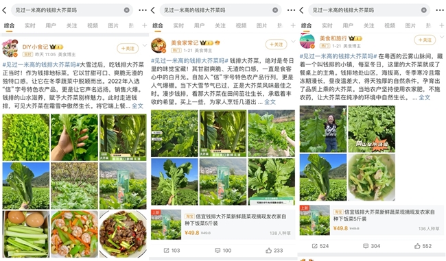 芥菜最新报道揭秘，小巷深处的芥菜美食秘境探索